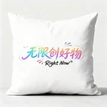 定制抱枕短毛绒布/高弹PP棉内芯