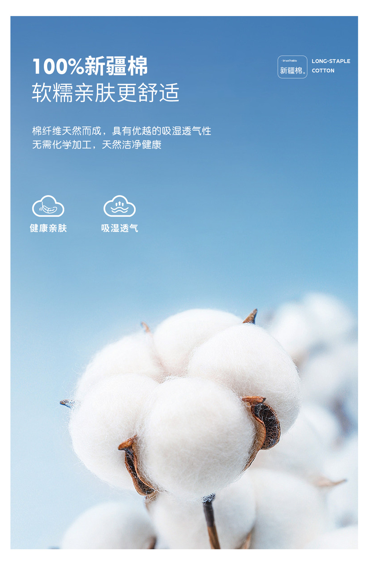 220G新疆长绒棉polo衫