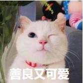 一件好的T恤该如何判定?(images 2)